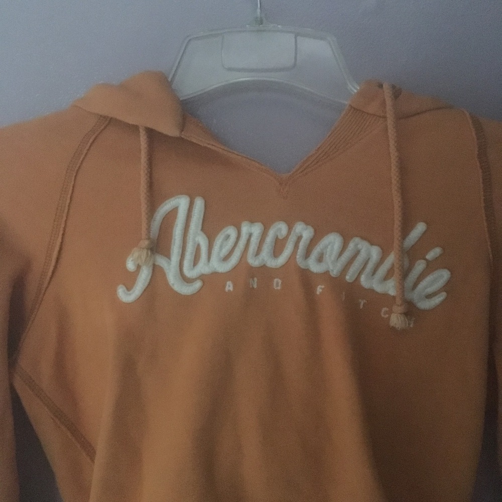 Abercrombie and Fitch Sweatshirt